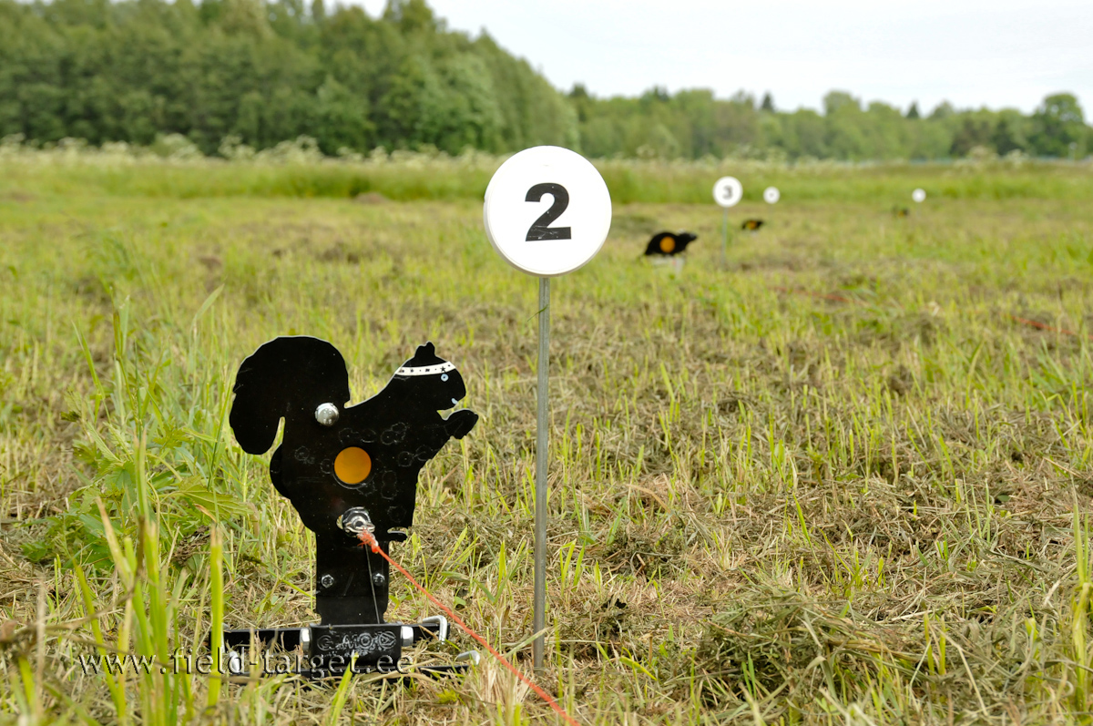 Orav 25 mm 28 m kaugusel